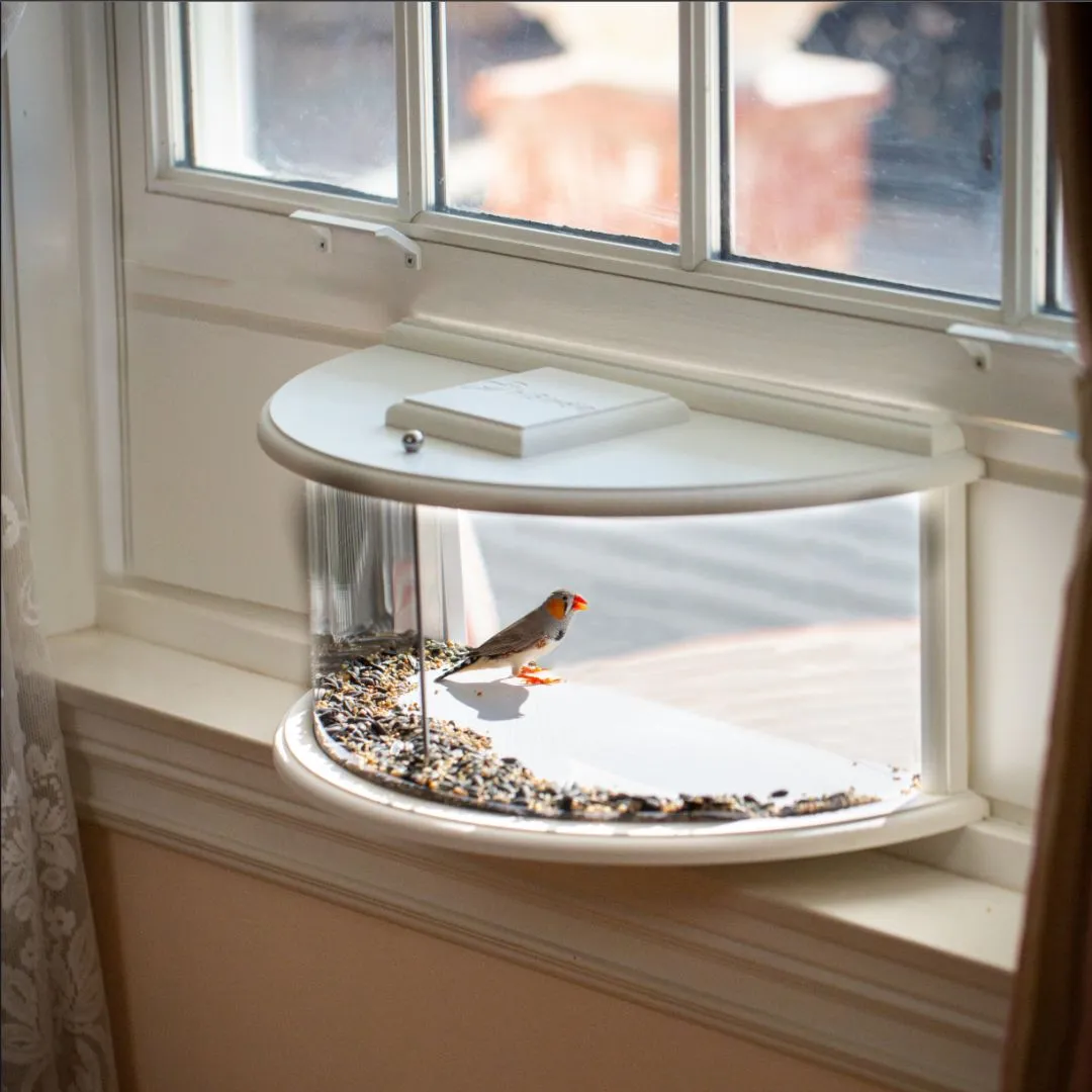  Sylaza™ Bird Feeder with Transparent Window