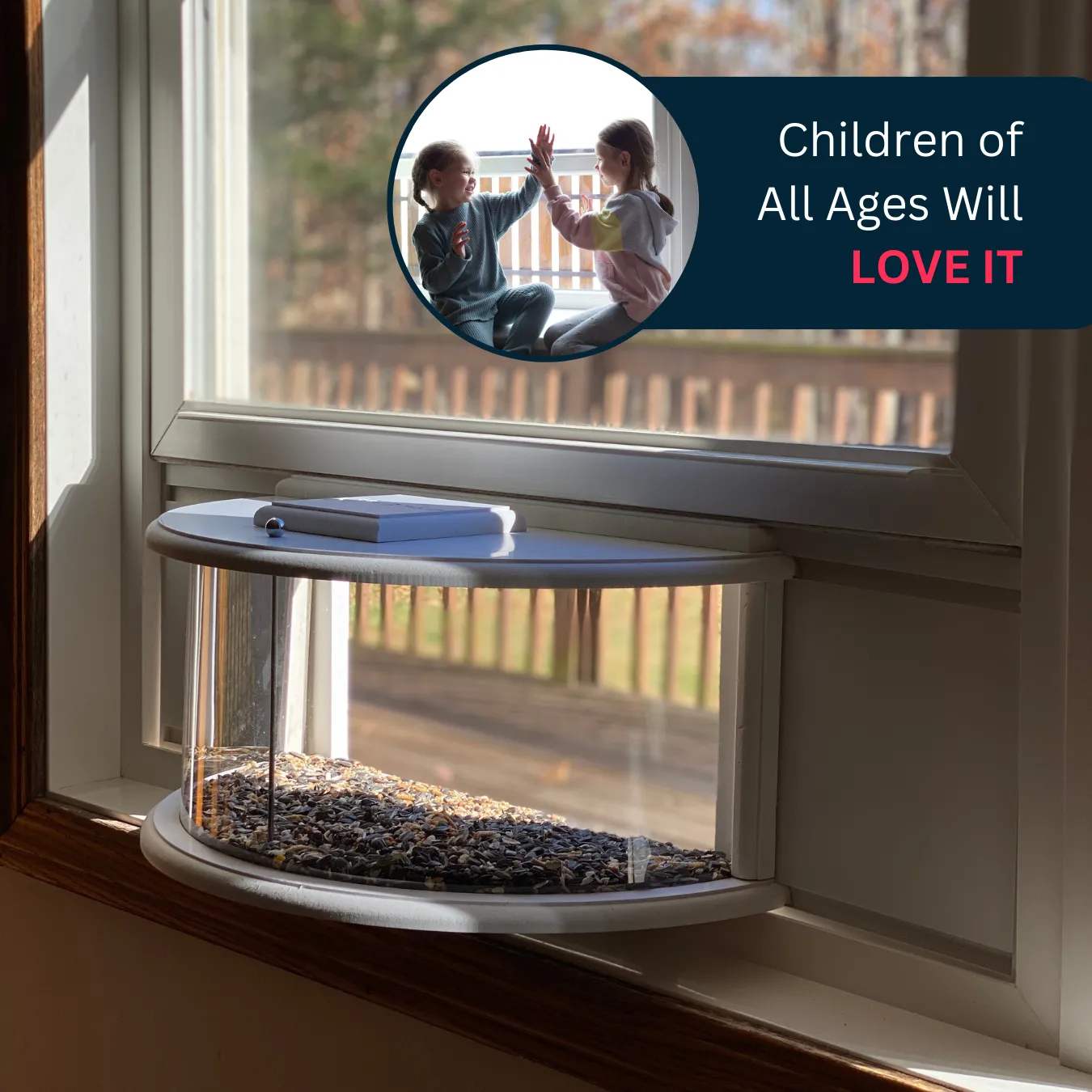  Sylaza™ Bird Feeder with Transparent Window