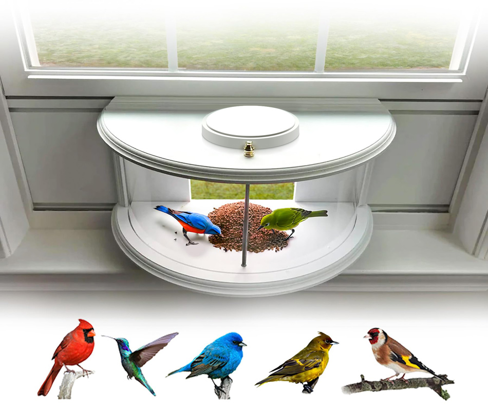 Clear View Window Tray Bird Feeder