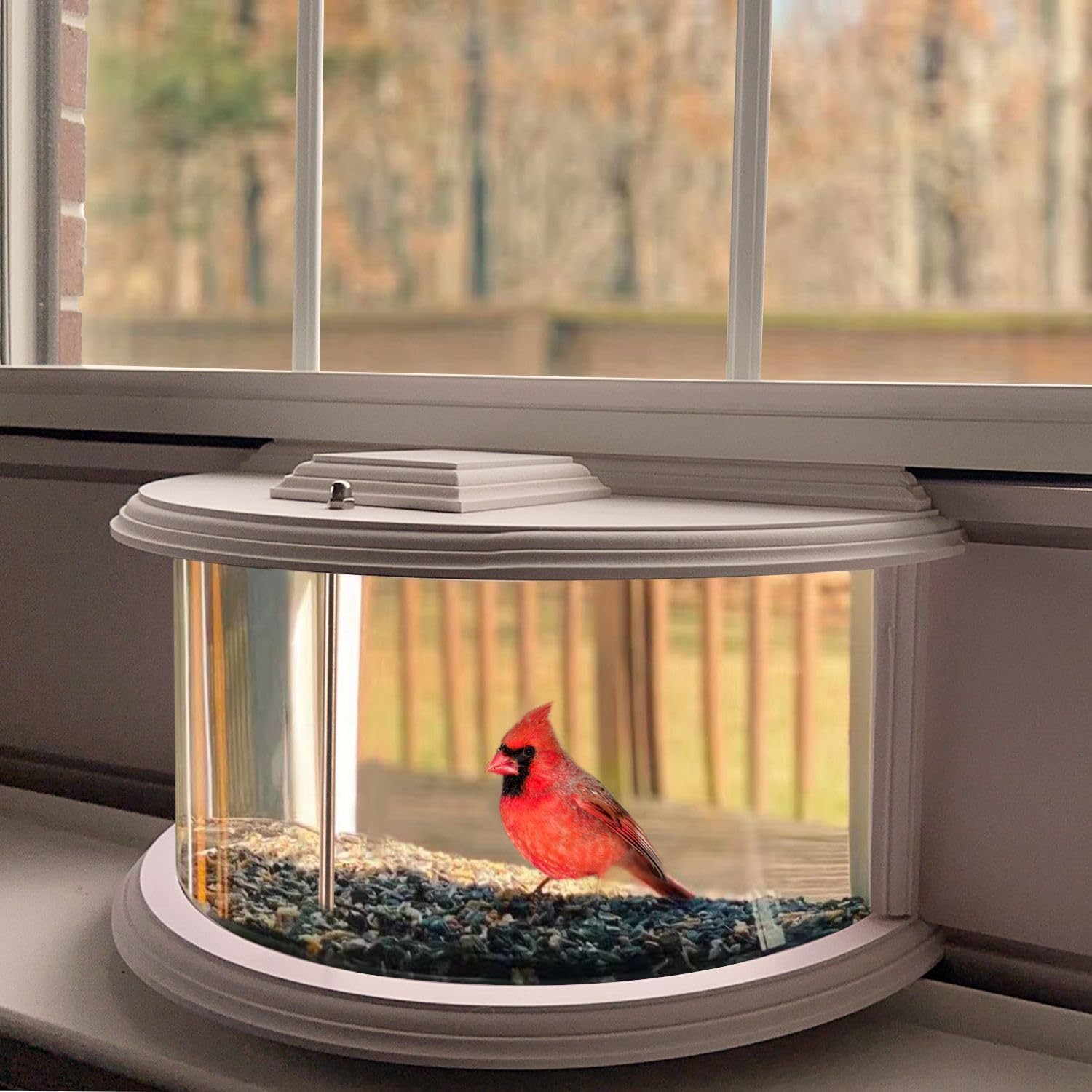 180° Clear View Window Tray Bird Feeder