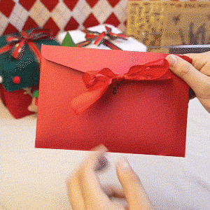 Christmas cash gift card with coordinating envelope and bow