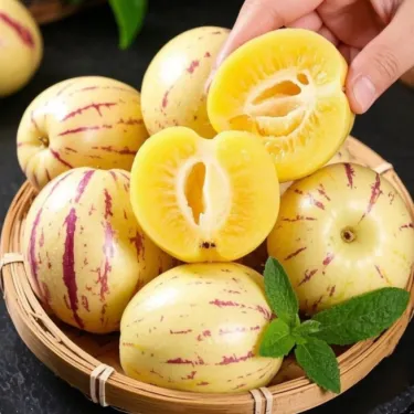 🌿Semena plodu ženšenu – snadné pěstování🌱
