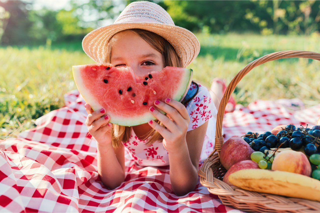 🔥Poslední den výprodeje🍉Semínka melounu od Lazy Mana🍉