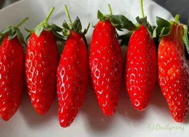 🍓Nasiona Truskawek w Kształcie Papryki o Wyjątkowo Słodkim Smaku🍓