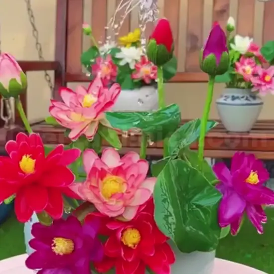 🌌💜 Egzotikus Misztikus Lila Lótusz – Varázsolja kerti tavát vagy vizeskádját királyi oázissá!🌸