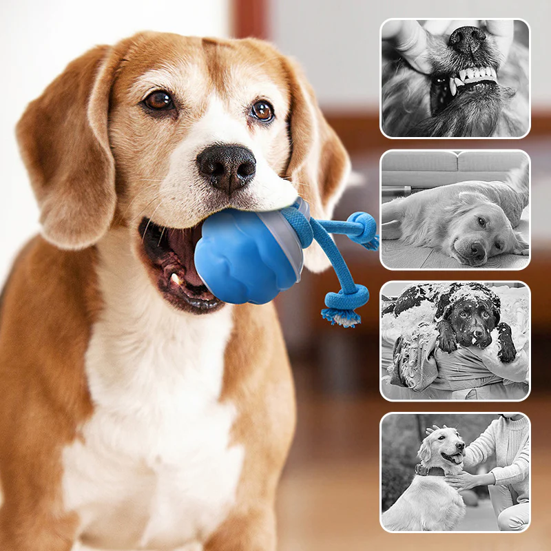 🔥Utolsó napi akció❗❗🐶Interaktív elektronikus kisállat-nyugtató játéklabda