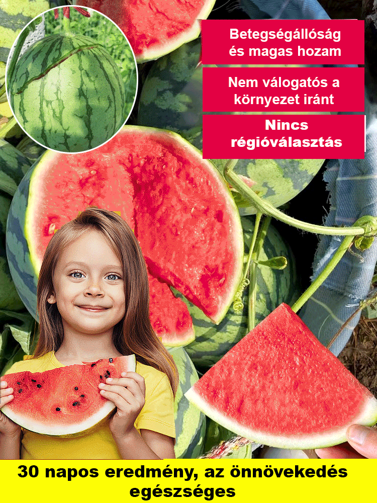🍉Mézkirály Mini Görögdinnye – A legédesebb, vékony héjú csoda a saját kertjéből! 🌞