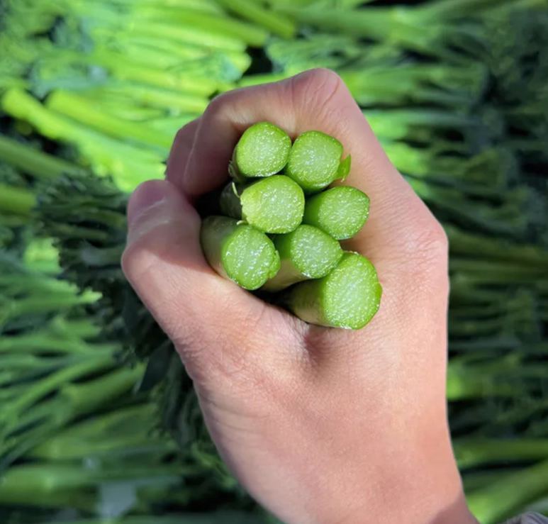🥦 Prémium Magas Csírázási Arányú Brokkoli Magok--Neveljen 100% bio, vegyszermentes szuperélelmiszert saját otthonában!