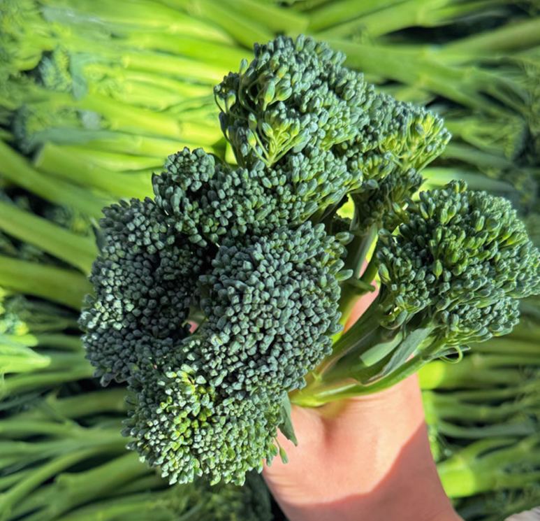 🥦 Prémium Magas Csírázási Arányú Brokkoli Magok--Neveljen 100% bio, vegyszermentes szuperélelmiszert saját otthonában!