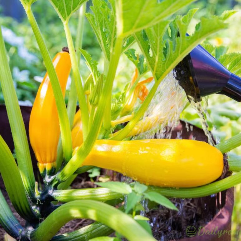 🍌 Banáncukkini – egy ízekben gazdag, aranyló termés! 🌿