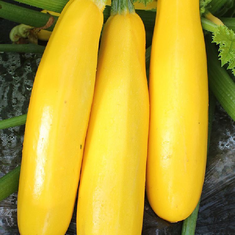 🍌 Banáncukkini – egy ízekben gazdag, aranyló termés! 🌿