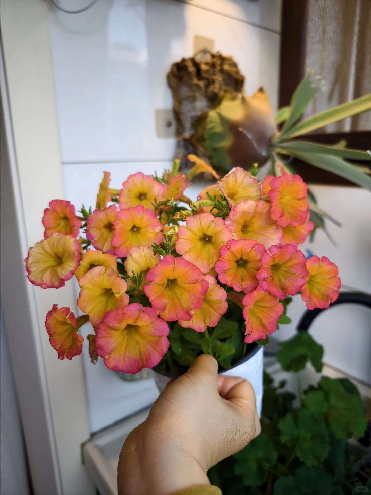 Színes iszap - A színek varázsa a kertedben 🌸
