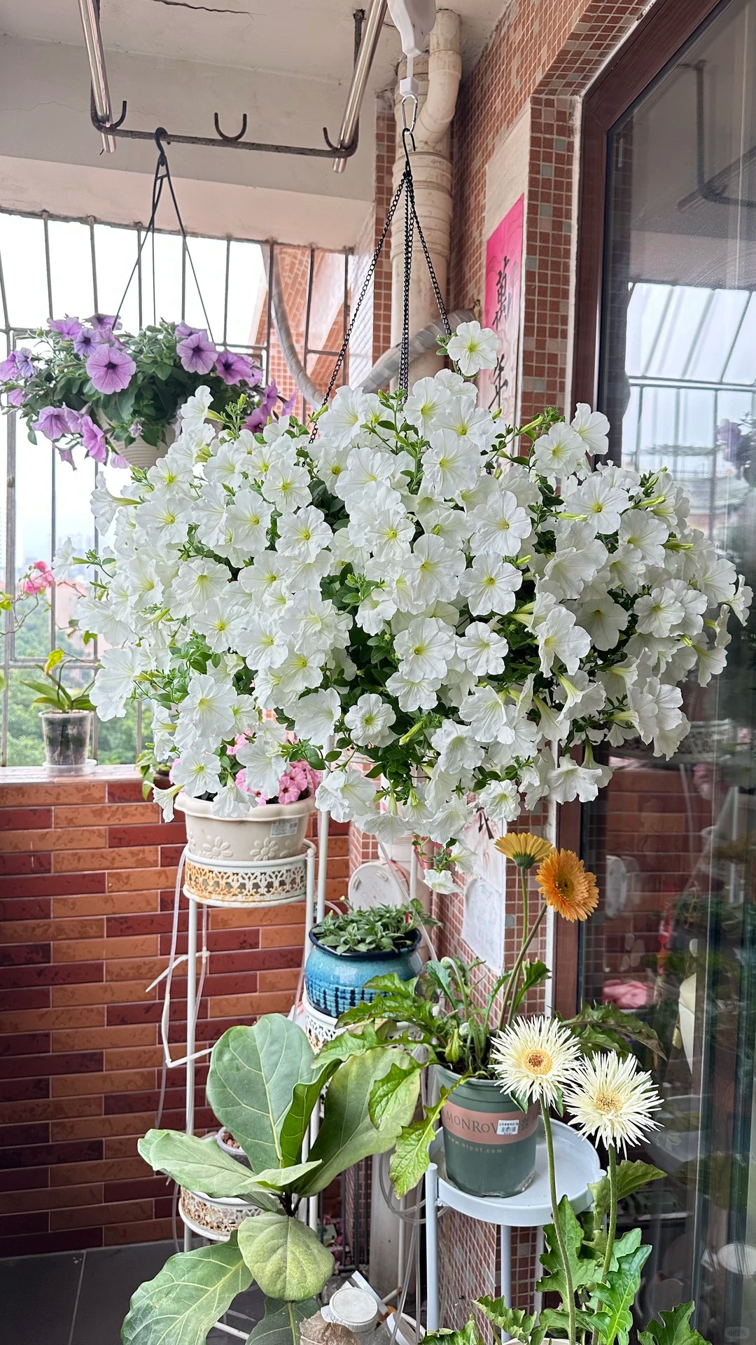 Színes iszap - A színek varázsa a kertedben 🌸