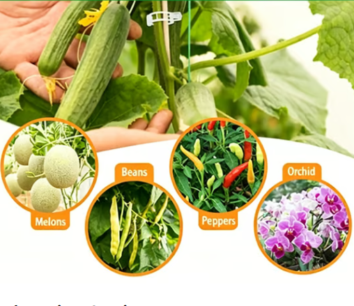 🌱 Növénytámasztó klipszek – könnyű kúszónövény-nevelés és biztonságos növénynövekedés 🌿