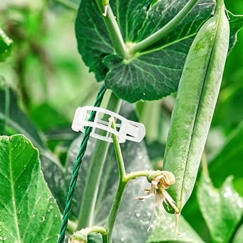 🌱 Növénytámasztó klipszek – könnyű kúszónövény-nevelés és biztonságos növénynövekedés 🌿