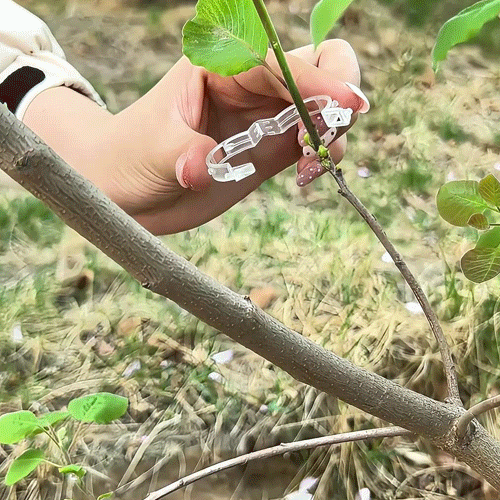 🌱 Növénytámasztó klipszek – könnyű kúszónövény-nevelés és biztonságos növénynövekedés 🌿
