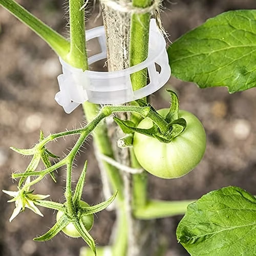 🌱 Növénytámasztó klipszek – könnyű kúszónövény-nevelés és biztonságos növénynövekedés 🌿
