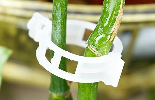 🌱 Növénytámasztó klipszek – könnyű kúszónövény-nevelés és biztonságos növénynövekedés 🌿