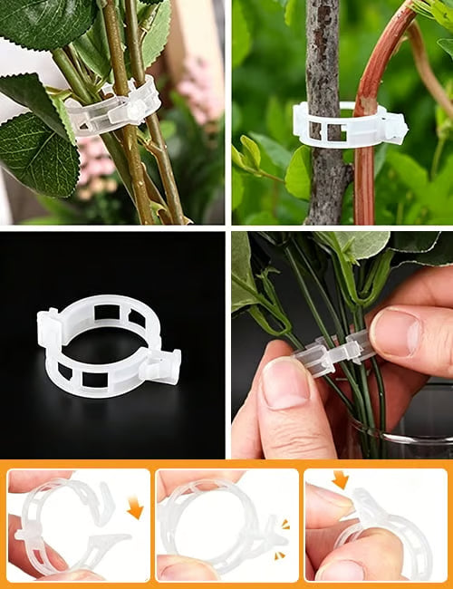 🌱 Növénytámasztó klipszek – könnyű kúszónövény-nevelés és biztonságos növénynövekedés 🌿