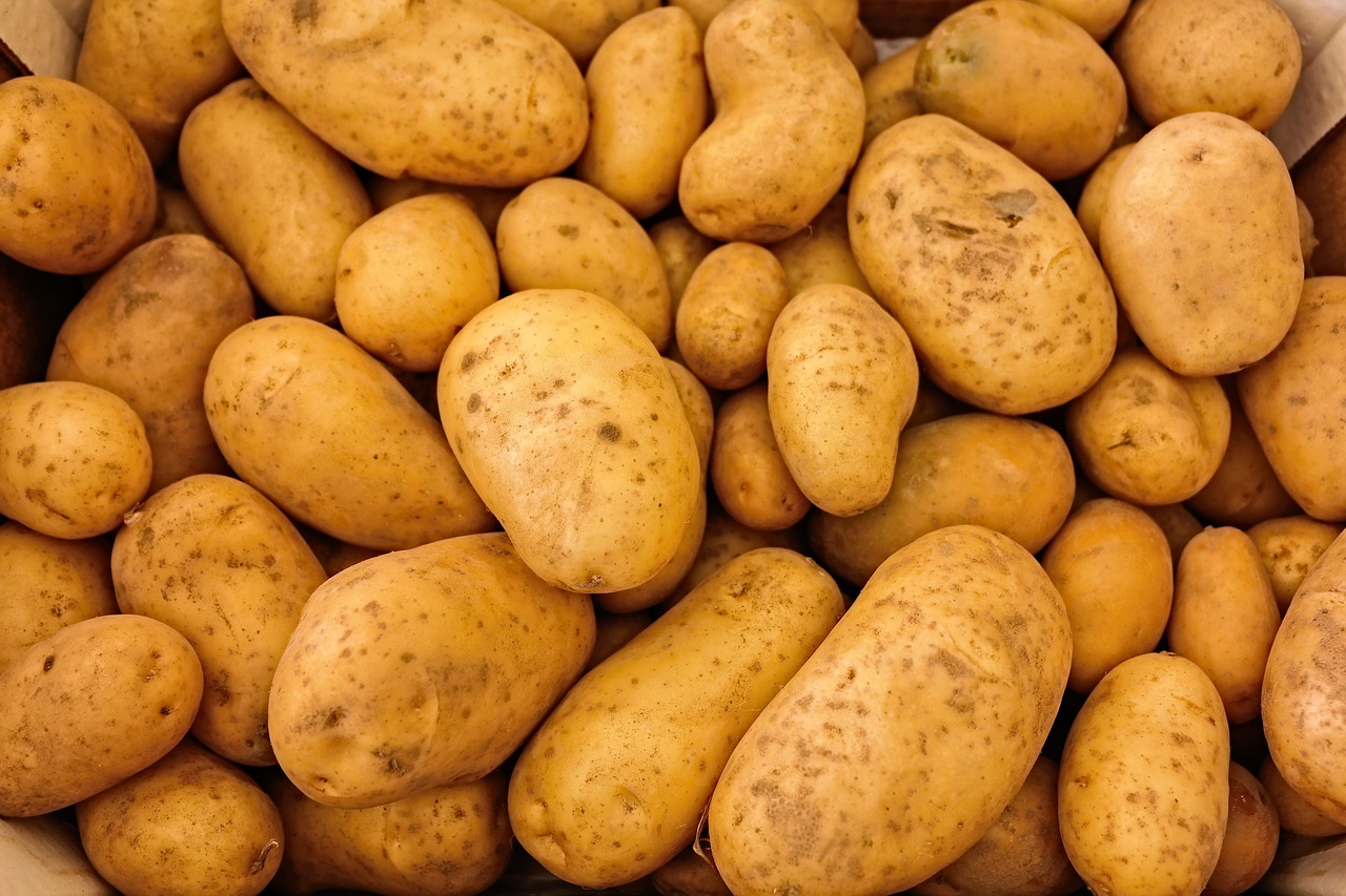 🔥Burgonyamagok növő fákon🥔Lusta burgonyamagok