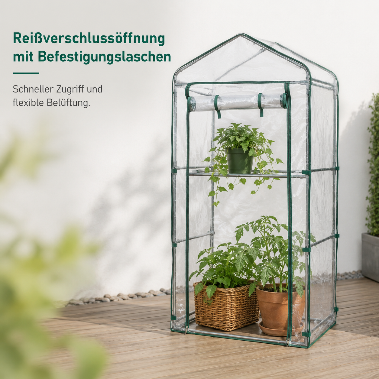 Tomatengewächshaus mit Folienhaube und stabilem Metallrahmen