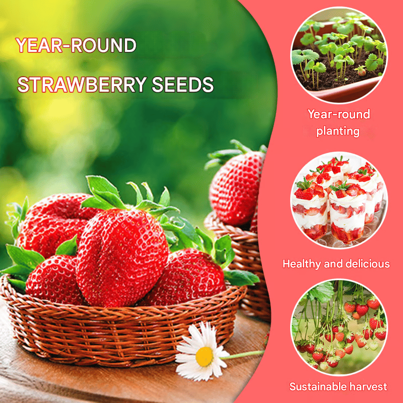 Epermagok egész éves termesztéshez🍓