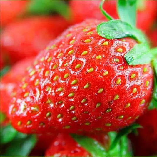 Epermagok egész éves termesztéshez🍓
