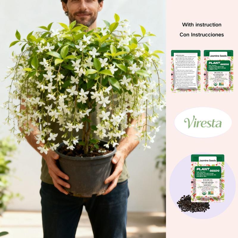 Premium Jasmine Seeds