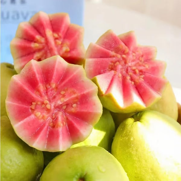 🌱 Guava magok – könnyen termeszthető, édes és lédús gyümölcsök