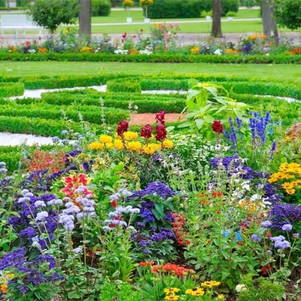 🌸🪴 Egész évben virágzó kert – vess egyszer, és élvezd a színes virágok kavalkádját! 🦋🐝
