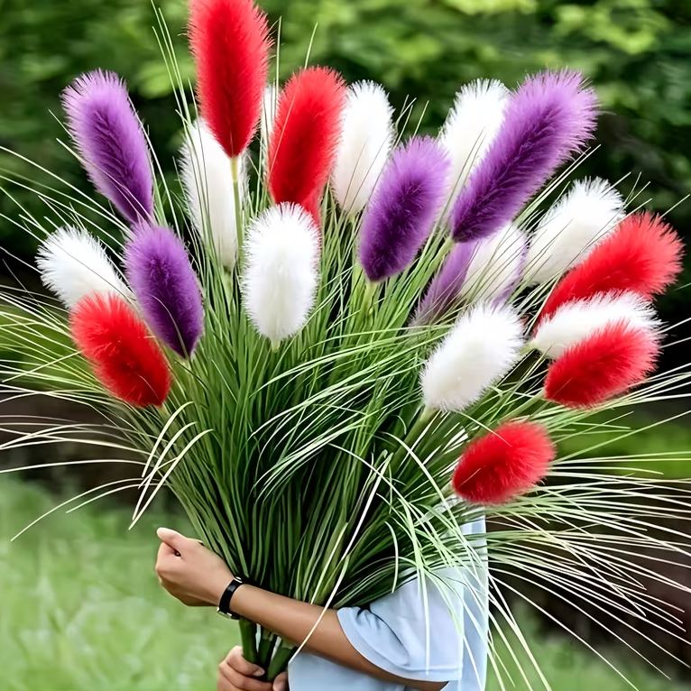 🌾Semena okrasné pampasové trávy ve směsi barev | Elegantní, vysoká a nadýchaná zahradní tráva