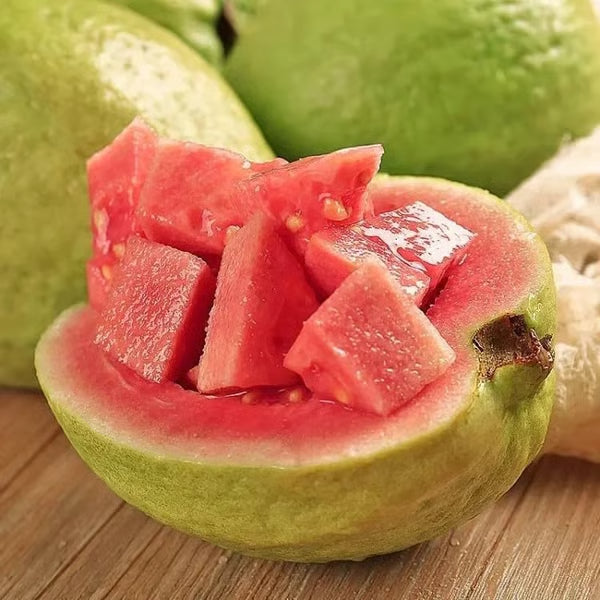 🌱 Guava magok – könnyen termeszthető, édes és lédús gyümölcsök