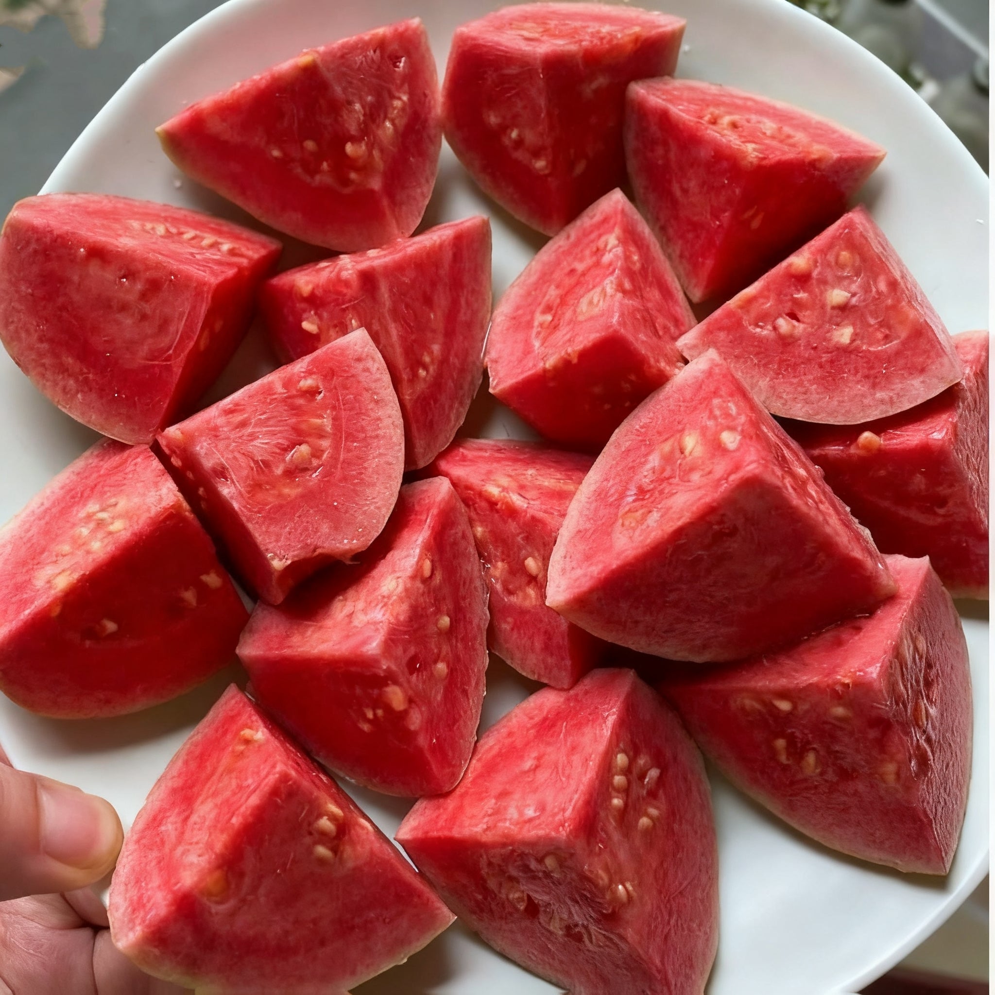 🍈 Rózsaszín guava magok ültetéshez – Cserépbe, üvegházba és nyitott kertbe alkalmas 🍈
