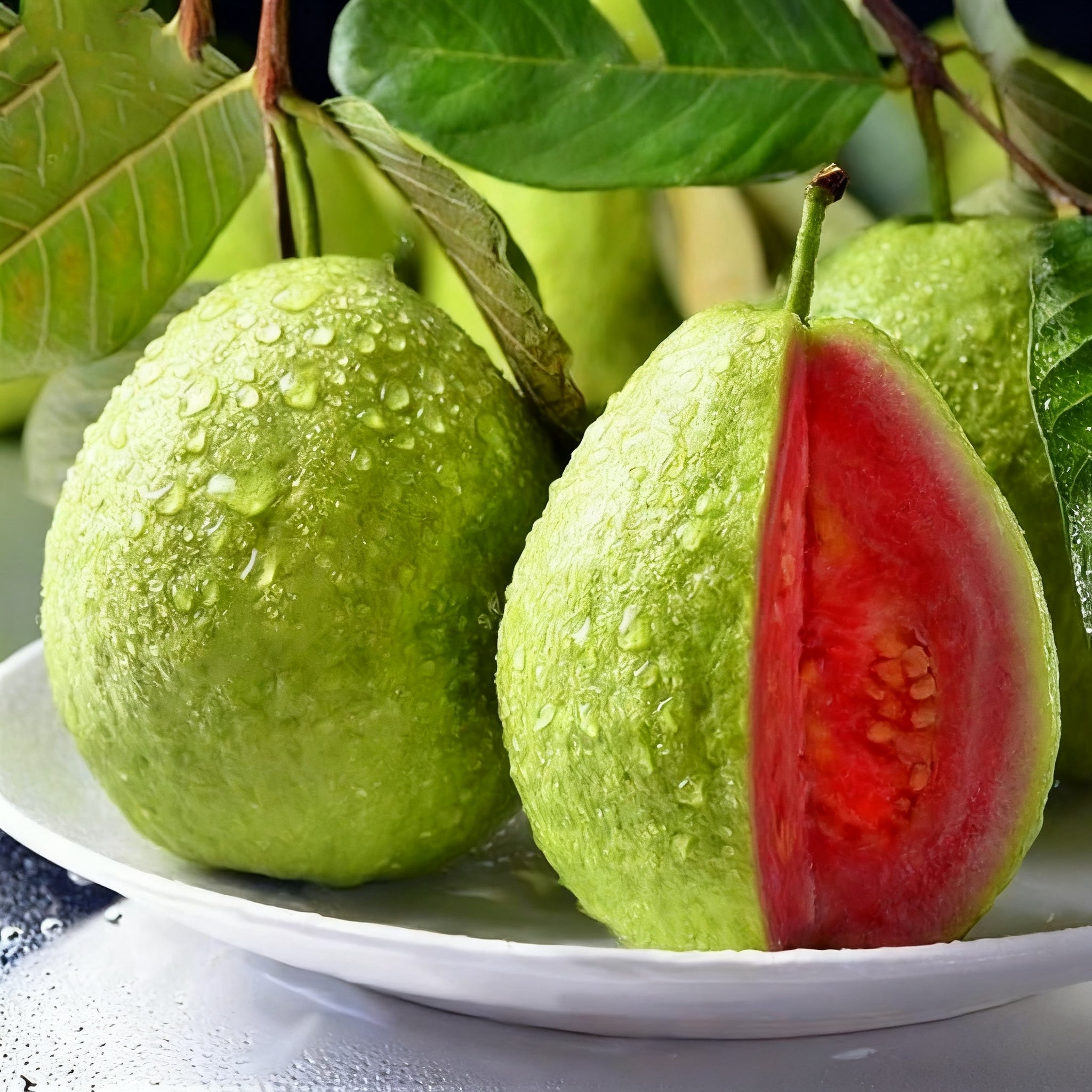🍈 Rózsaszín guava magok ültetéshez – Cserépbe, üvegházba és nyitott kertbe alkalmas 🍈
