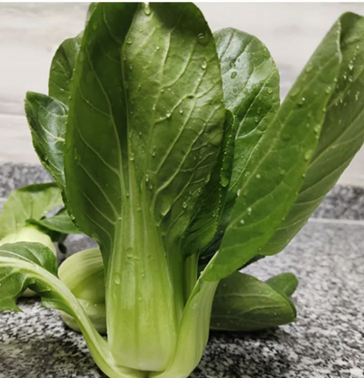 Bok choy magok (pechay) Nagy levelek, magas hozam, telt szár