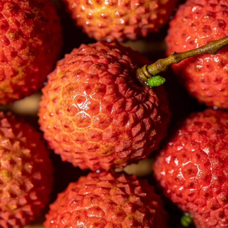 🍃 Prémiová semínka liči – zasaďte a sklidte svůj tropický sen 🌞