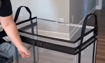 Organization GIF