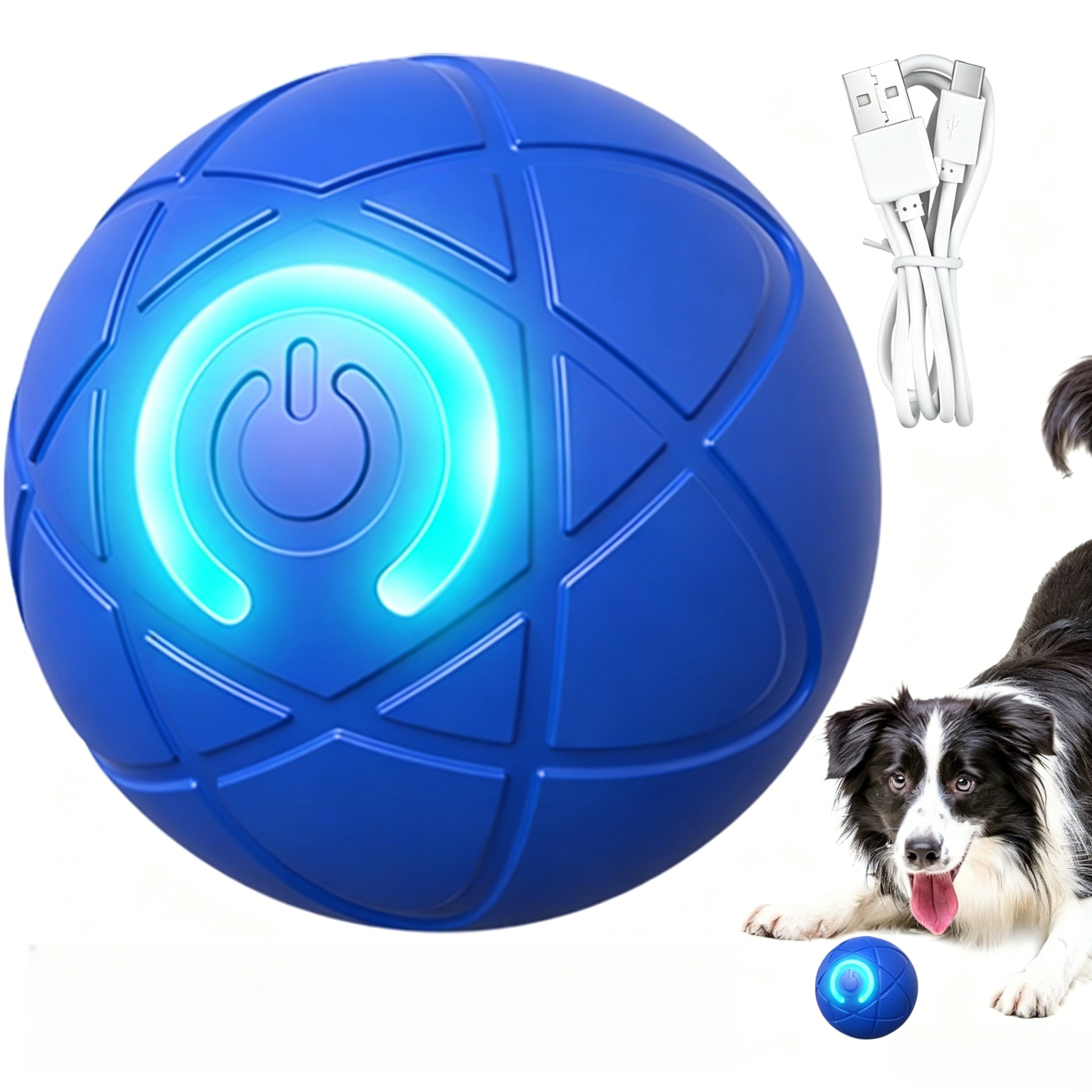 Dog Active | Convert Energy Into Fun