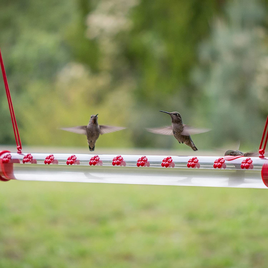 Hummingbird Feeder - Buy 2 Give Free Cleaning Brush and Hook
