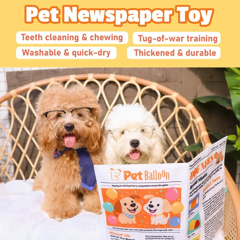 🔥Hot Sale 49% OFF🌟📰 Durable Newspaper Dog Toy-purrpetclean