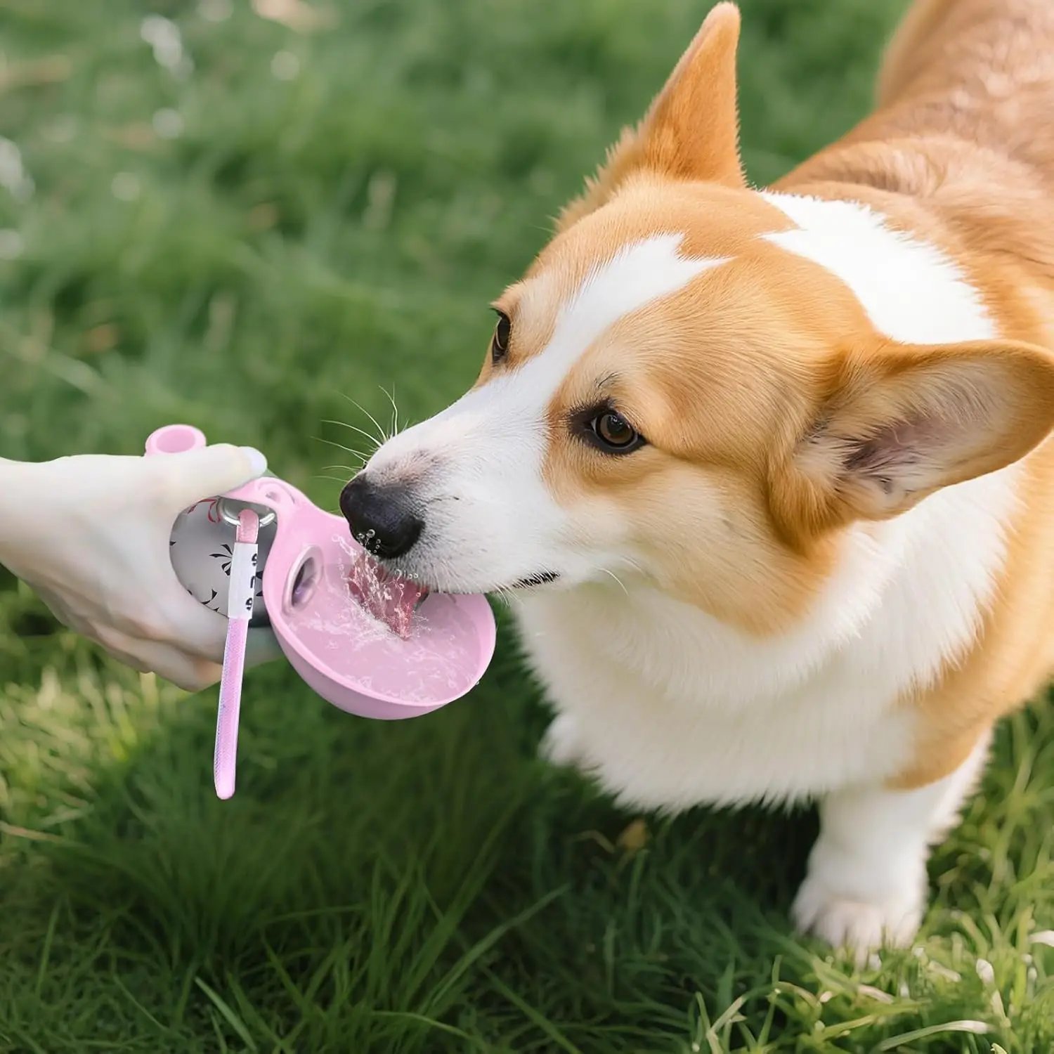 Portable 2-in-1 bottle-Dog travel water bottle-purrpetclean
