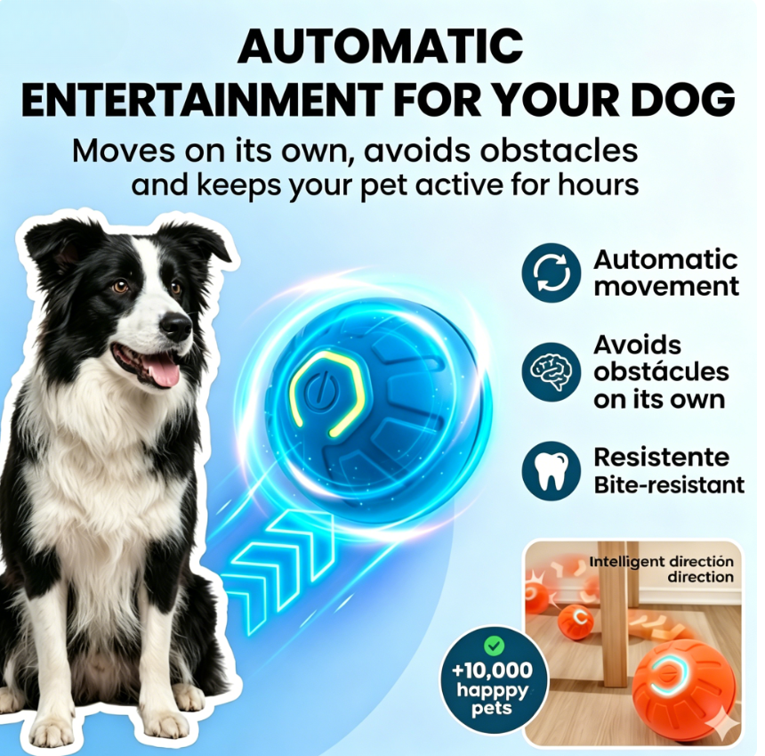 Dog Active | Convert Energy Into Fun