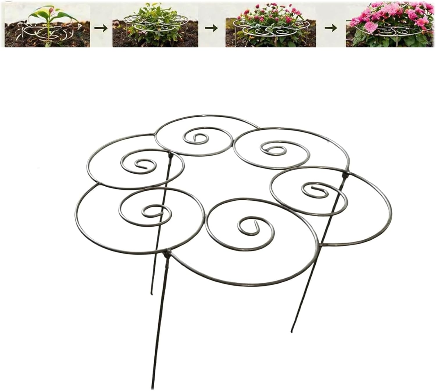 Elegant Garden Plant Support Rings ✨