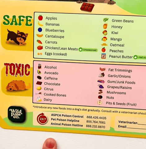 Toxic Food for Dogs Fridge Magnet-purrpetclean