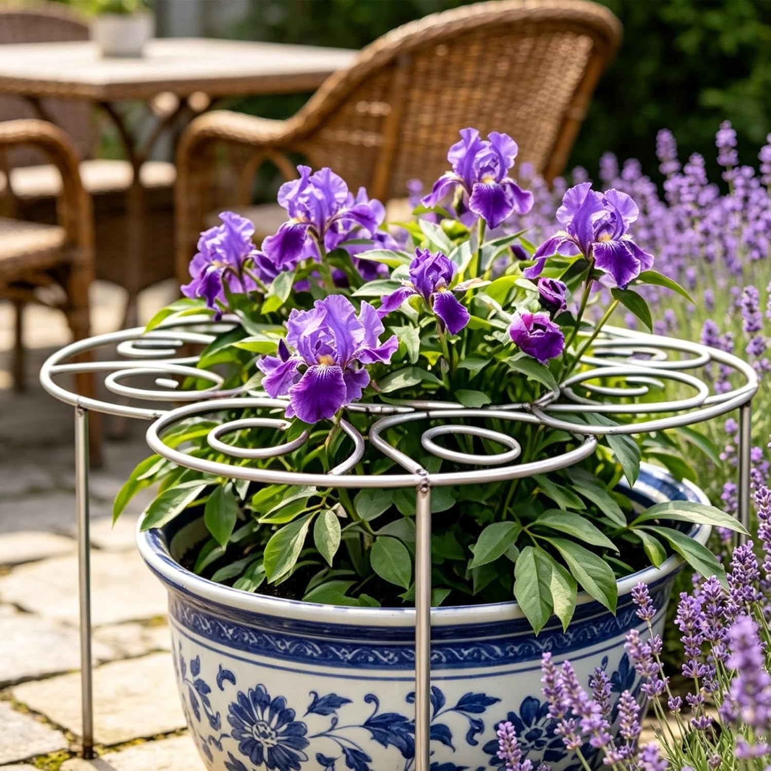 Elegant Garden Plant Support Rings ✨