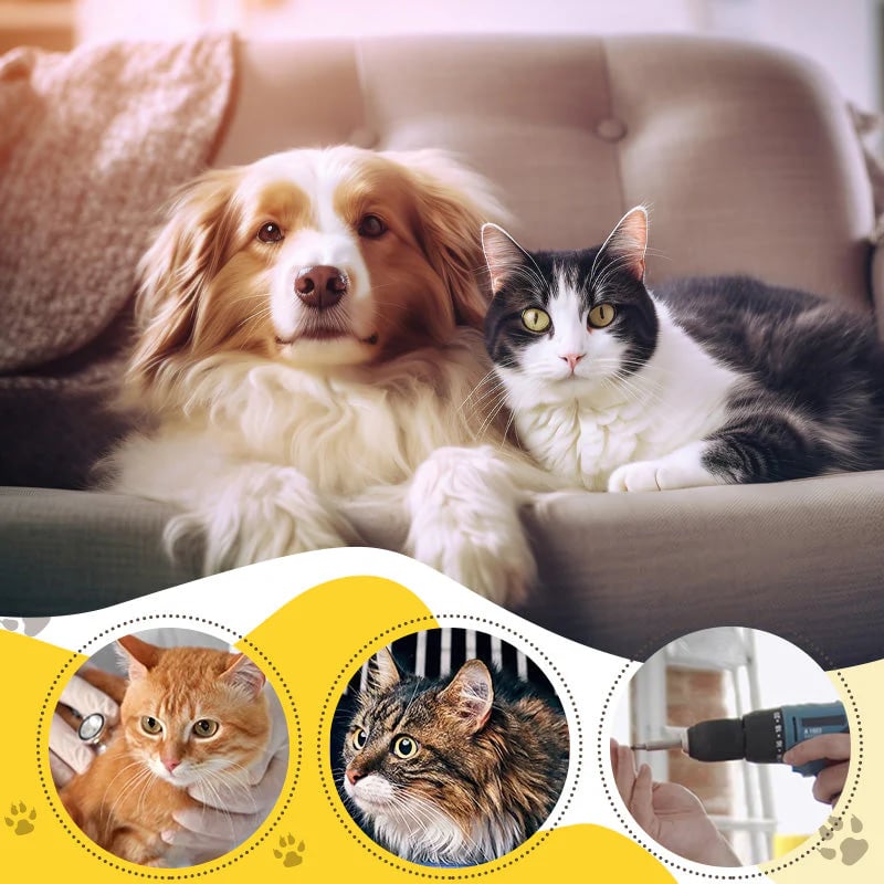 🐾✨️Dog Claming Pheromone Diffuser Kit-purrpetclean