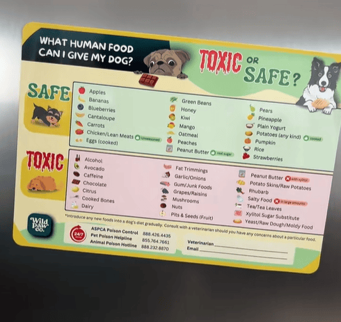 Toxic Food for Dogs Fridge Magnet-purrpetclean
