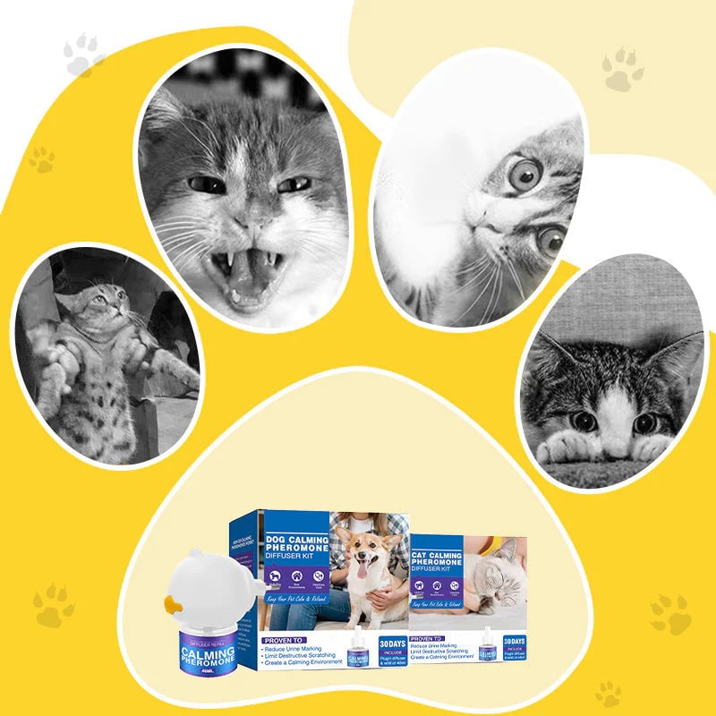 🐾✨️Dog Claming Pheromone Diffuser Kit-purrpetclean