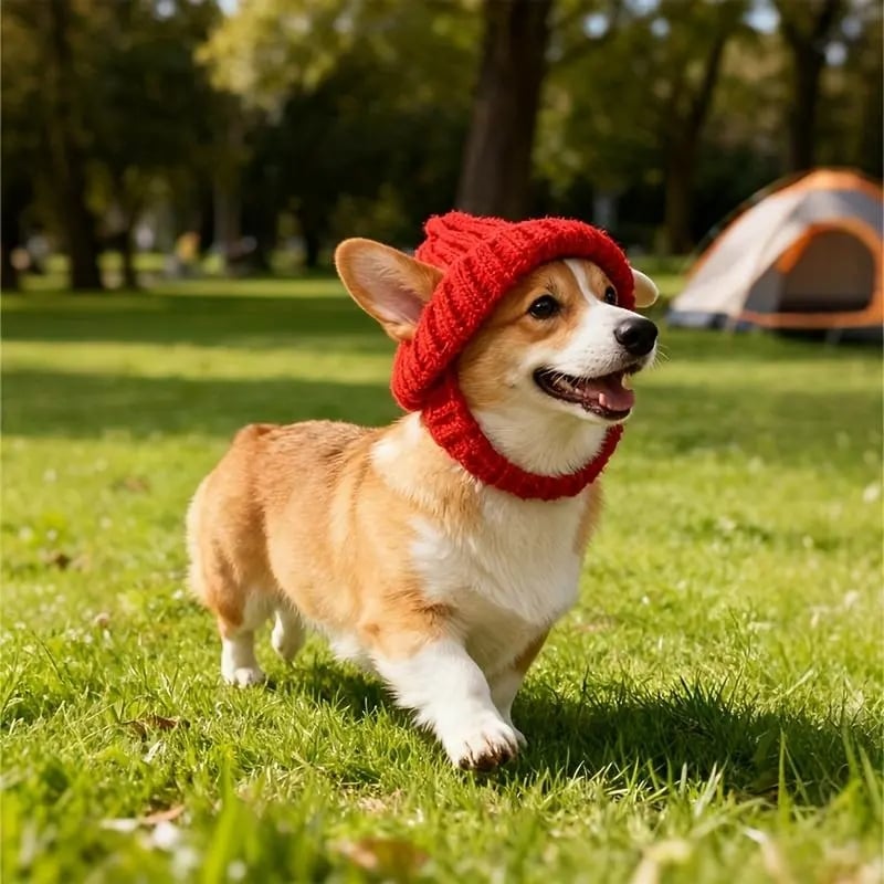 🎄Christmas Sale 49% OFF🔥Red Wool Knit Dog Beanie with Ear Flaps – Warm Winter Hat-purrpetclean