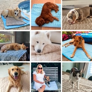 🐶Pet Cooling Mat❄️-purrpetclean